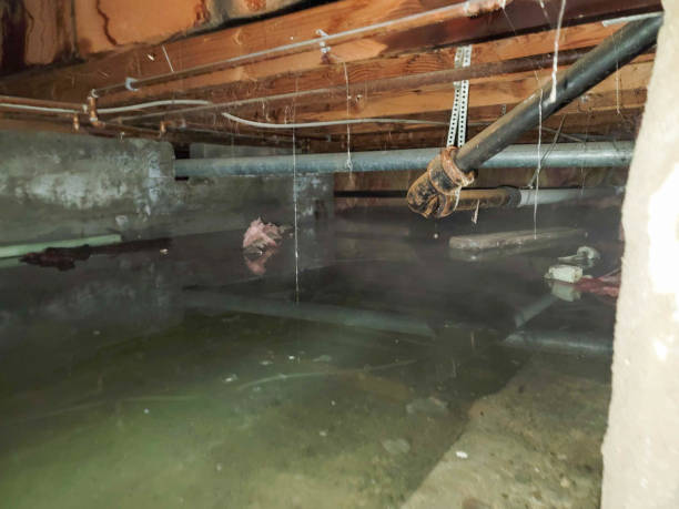 Best Water damage cleanup near me  in Glide, OR