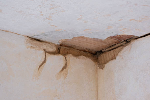 Best 24/7 water damage repair  in Glide, OR