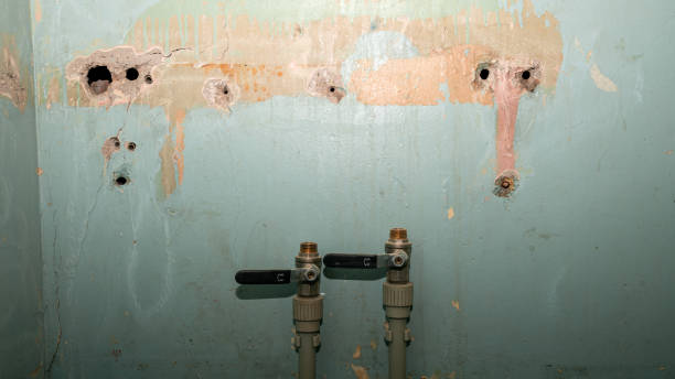 Best Flooded house restoration  in Glide, OR